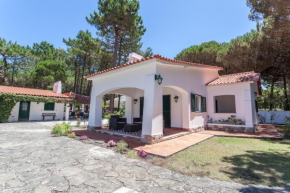 Ocean, Pines and Mountain - Renovated February 2025 - AC
